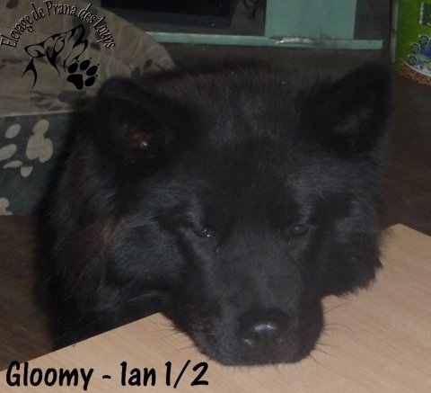 20121201 Gloomy