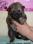 20130312 - Iwok
