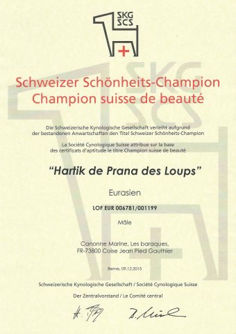 Hartik champion suisse (2)