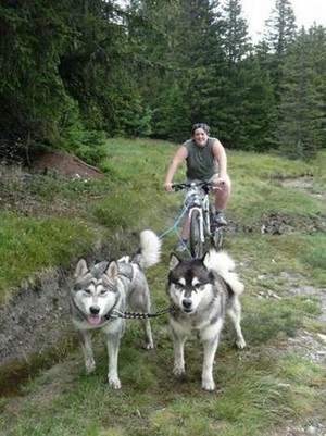 chien et vélo